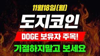 [긴급속보] 11월18일 (월) 도지코인 DOGE 보유자 주목! 기절하지말고 보세요 #도지코인 #도지코인전망 #도지전망