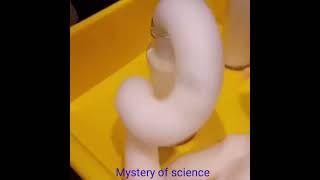 Elephant  toothpaste experiment #mystery of science