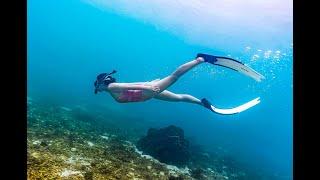 보라카이 호핑투어 프리다이빙 스노클링 스킨다이빙 boracay boracayfreedive boracayfreediving boracaydiving