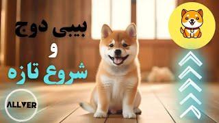 بیبی دوج کوین baby dogecoin در شرف شروع تازه برای دست نیافتنی شدن!