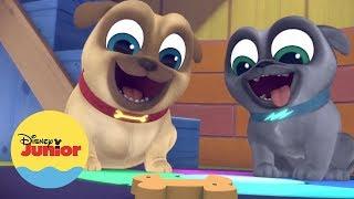 Sem Piscar | Brincando com Puppy Dog Pals