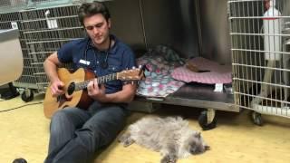 Dr. Ross Henderson sings to a cat