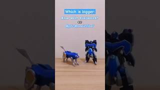 Toys | Blue Wolf Ninjazord vs Mystic Mermaid Titan | MMPR | Mystic Force #toys #megazords