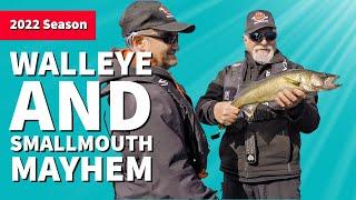 Walleye and Smallmouth Mayhem on Lady Evelyn Lake