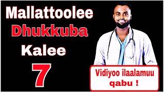 Mallattoolee dhukkuba kalee | Symptoms of liver disease @DrNafyadGetuOfficial ​