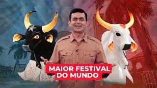 PARINTINS: CONHEÇA O FESTIVAL QUE MOVE UMA CIDADE INTEIRA!