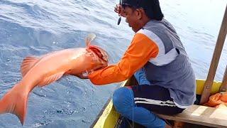 Crazy..!!  bait until it runs out at this small spot, it turns out to be a red grouper nest