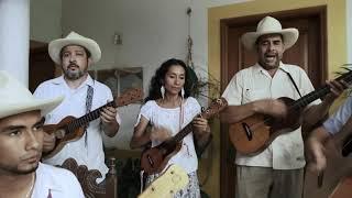 Grupo Mono Blanco - '¡Fandango! Sones Jarochos from Veracruz' [Behind The Scenes Documentary]