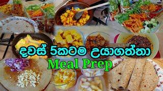 දවස් 5කටම එක සැරේම  උයා ගත්තා  ! Meal Prep Sinhala!