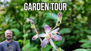 Garden Path Tour - p17