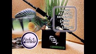 Meine neue Combo! 13 Fishing Concept A3 Gen 2 CA3-6.3-LH und Fate Black Casting 74XH2 2.24m 40-130g