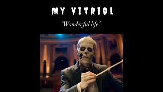 My Vitriol - Wonderful Life