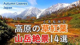 Best 14 spectacular mountain views  in autumn! / Beautiful Scenery of Japan [ 4K ]