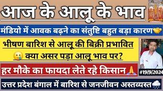 19/9/24 भीषण बारिश से मंडियों में बिक्री प्रभावित  बंगाल के किसान भी बारिश से परेशान POTATO PRICE