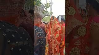 vat savitri puja #shortvideos #viral #vatsavitripooja #bestanofficial