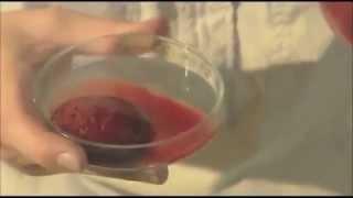 !!SNAKE VENOM TURNS HUMAN BLOOD INTO JELLY!!