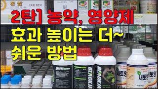 2탄 농약영양제 효과높이는 더쉬운방법