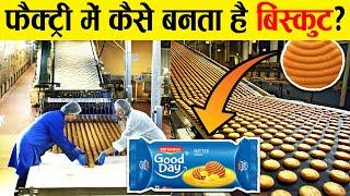 फैक्ट्री में कैसे बनते हैं 'GOOD DAY BISCUITS'? How are 'GOOD DAY BISCUITS' made in factory?