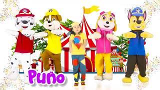 Dayiro - Chu chu ua | Paw Patrol