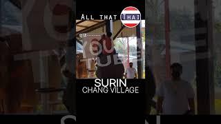 Surin Chang village #태국 #한국인 #여행 #배낭여행 #시장 #리뷰 #자연 #체험 #thai #korean #travel #backpacker #market