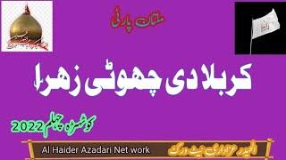 Karbala De Choti Zahra SWT||Multan Party||Al Haider Azadari Network||
