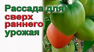 Как получить сверхранний урожай томатов, перцев и огурцов.