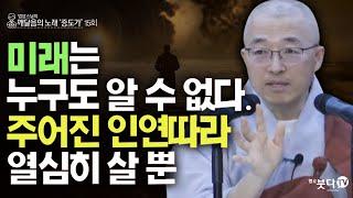 미래는 누구도 알 수 없다 주어진 인연따라 열심히 살 뿐 | 법상스님의 증도가 15회(8-1) | 분별 세상 깨달음 집착 고통 지혜 행복 현실 존재 인연 소통 인연