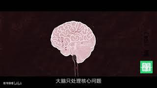 【有书快看】5分钟带你看完《跃迁》（上），教你如何短时间跃升成为行业高手 哔哩哔哩 ゜ ゜つロ 干杯~ bilibili