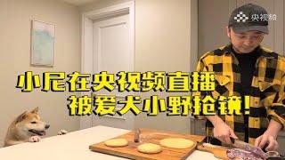 【尼格买提】直播下厨：万万没想到被TA抢了风头！