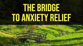 The Bridge to Anxiety Relief (the science behind anxiety)