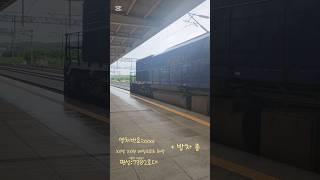 레일 크루즈 해랑 포항역 발차 #포항역 #레일 크루즈 해랑