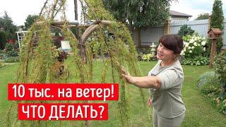 Что случилось с лиственницей? За такие деньги такой хлам!