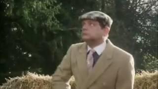 Only fools and horses skeet