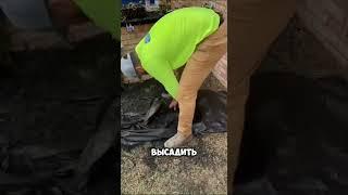 Клумба своими руками