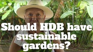 Should HDB have sustainable gardens? | Gentle Warrior | Happy-TV