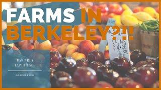 Berkeley Farmers Market