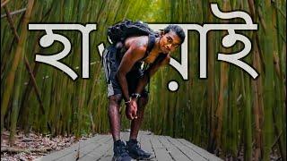 পৃথিবীর সবচেয়ে সুন্দর জায়গা?