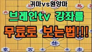 공개합니다!! 브레인tv 강좌를 무료로 보는법! (장기)