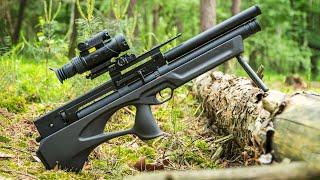 TOP 5 Best Affordable Air Rifles 2024 - What No One is Telling You!