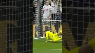 Hugo Lloris is incredible 