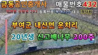 432내산면소재지 가까운 배나무 과수원 부여땅 부여부동산