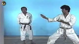 SHOTOKAN karate - The Nakayama - Empi Kata and Bunkai (Ката Эмпи)