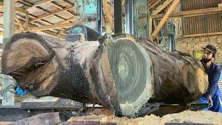 You won't Beilieve What i Found inside This teak logs,sawmill jeckpot