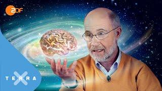 Hat das Universum ein Bewusstsein? | Harald Lesch