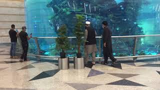 BIGGEST AQUARIUM INSIDE JEDDAH AIRPORT SAUDI ARABIA