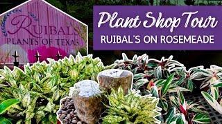 Let's Tour One of My Favorite Houseplant Shops! | Ruibal's on Rosemeade Plant Shop Tour