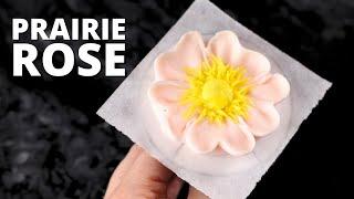 How to pipe buttercream prairie rose [ Cake Decorating For Beginners ]