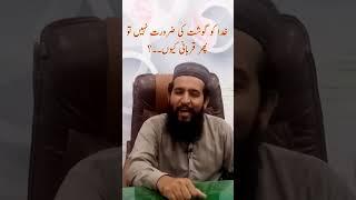 قربانی کیوں جب اللہ کو گوشت نہیں چاہیے؟ | جوابِ الہاد