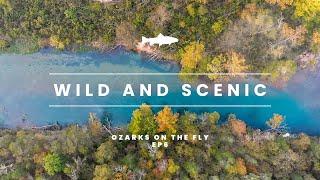 Ozarks on the Fly | EP 6 | WILD & SCENIC