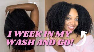 ONE WEEK IN MY WASH AND GO ! | SEVEN DAYS IN MY WASH N' GO TRANSFORMATION!